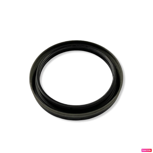 RETEN CIGÜEÑAS (DERECHO) MINI COOPER 2002-2006 R50 R52 R53